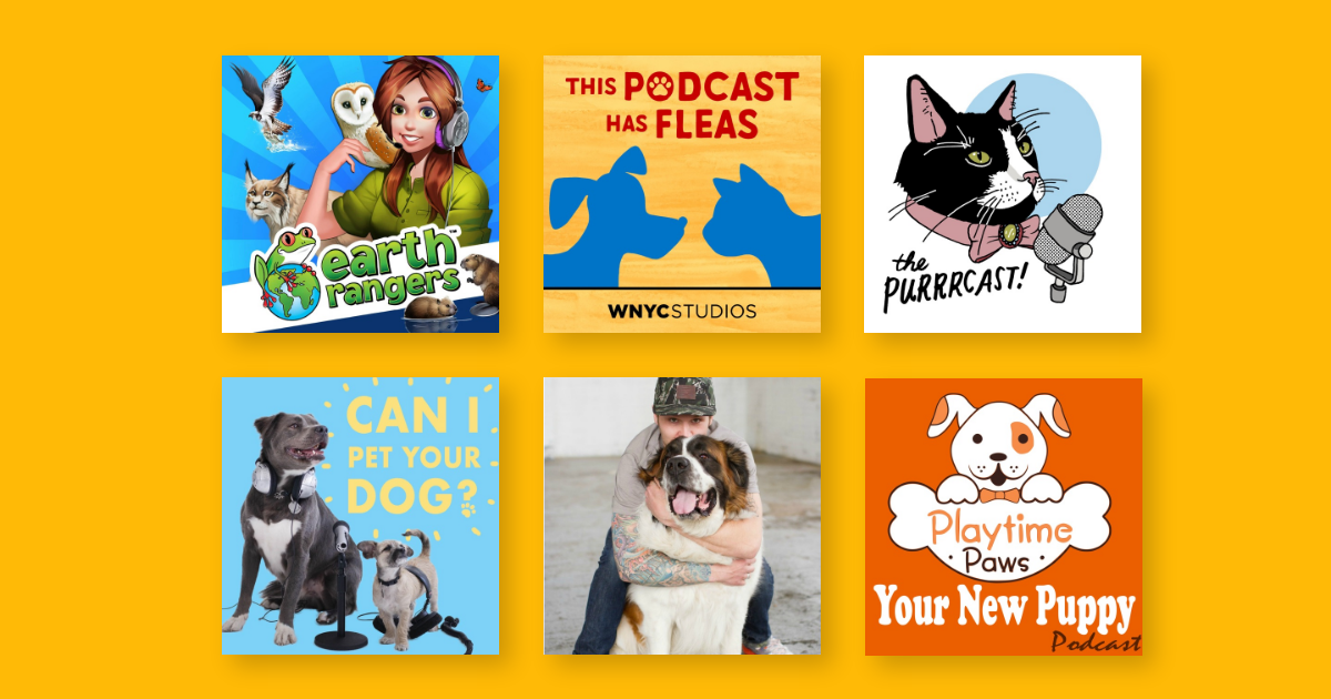 The Best Podcasts About Pets & Animals